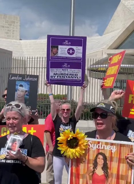 Image of APALD Chinese Embassy Rally