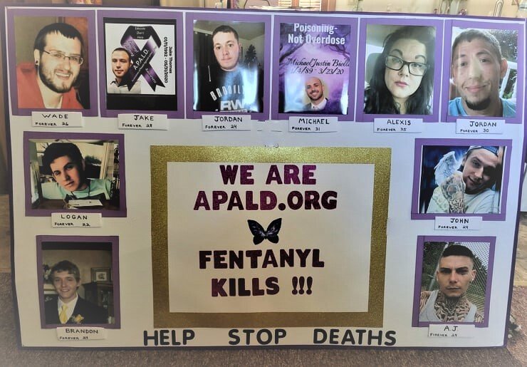 Image of APALD Hicksville Rally