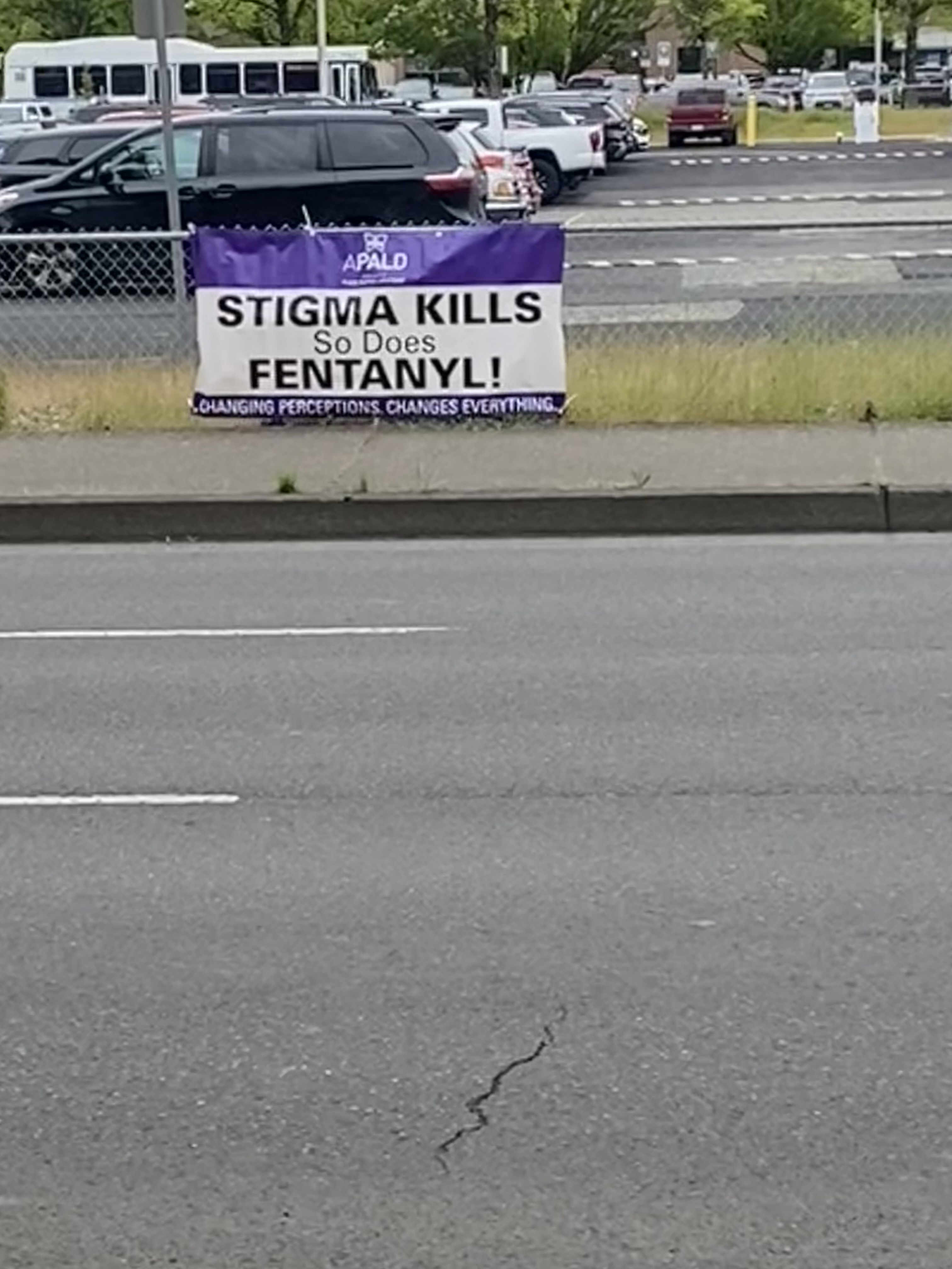 Image of We hung a banner on the street across