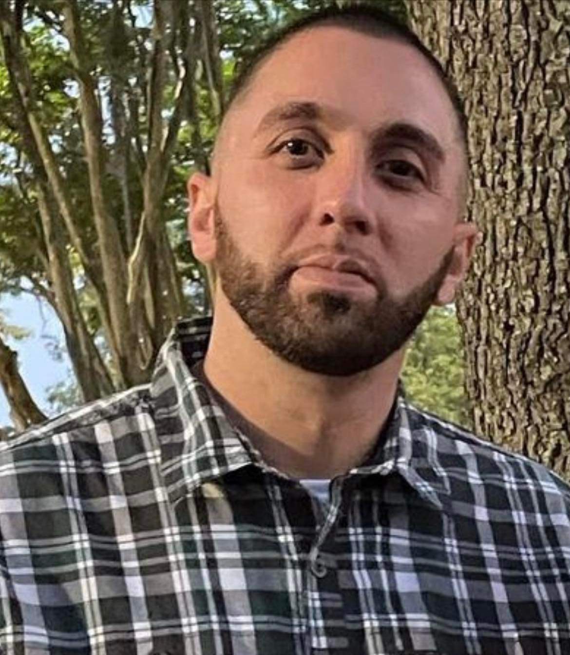 Memorial image of Ciro Gallignano Jr